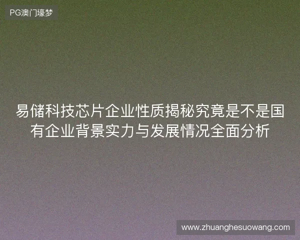 易储科技芯片企业性质揭秘究竟是不是国有企业背景实力与发展情况全面分析